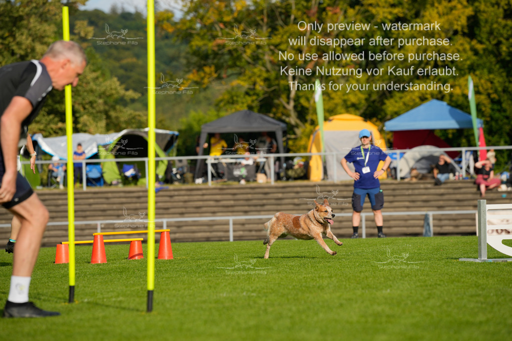 Samstag_CSC (1643 von 2023) | stephaniefillaphotographie - Realisiert mit Pictrs.com