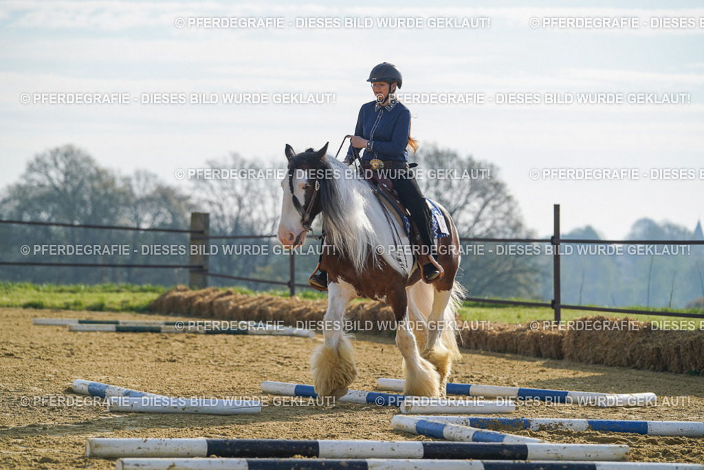 DSC00911 | Pferdegrafie