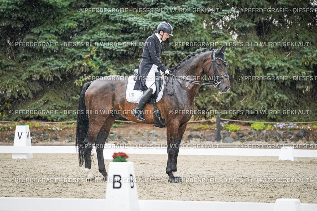 DSC08238 | Pferdegrafie