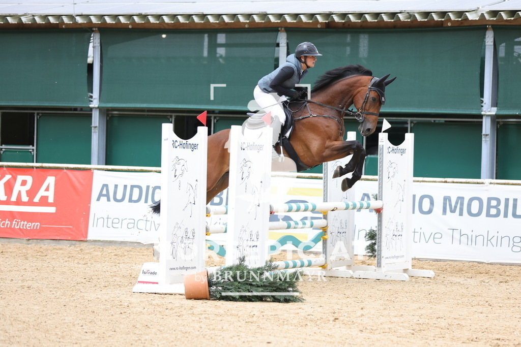 0P6A4270 | Willkommen bei Brunnmayr - Design & Fotografie – Ihrem Spezialisten für Reitturniere und Pferdeveranstaltungen in Oberösterreich, Salzburg und Bayern! Seit über 17 Jahren sind wir leidenschaftlich dabei.