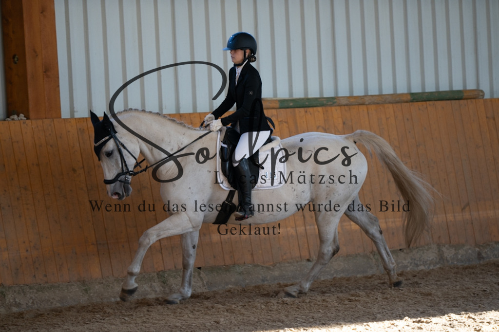 A7V01662 | Pferdefotograf