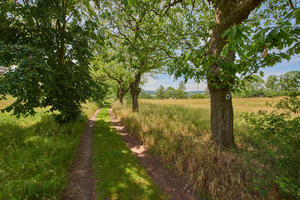 Auf dem Kanitzberg bei Burkhardswalde 02 | Bedeutsame Landschaften Deutschlands - Realisiert mit Pictrs.com