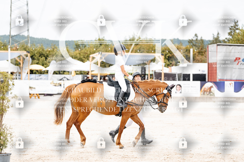 CK907057 | Turnierfotografie Pferdefotografie Trier Rheinland-Pfalz Pferdesport Reitsport Tierfotografie Sportfotografie Pferdevideo Pferdevideografie Equestrianvideography equestrianphotography  - Realisiert mit Pictrs.com