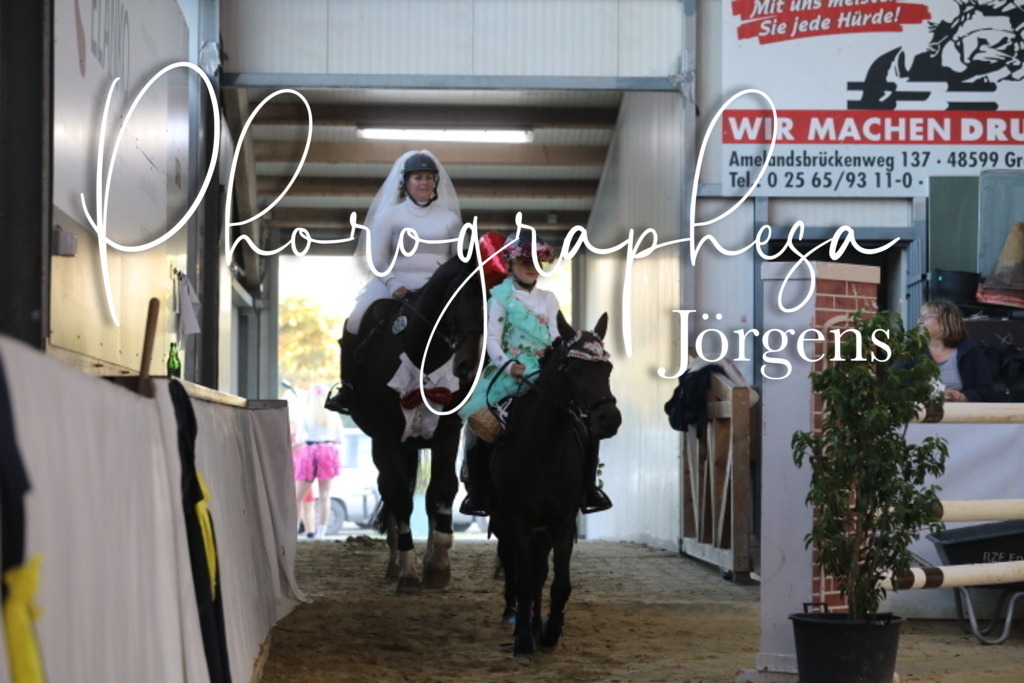 IMG_1755 | photographesa-joergens - Realisiert mit Pictrs.com