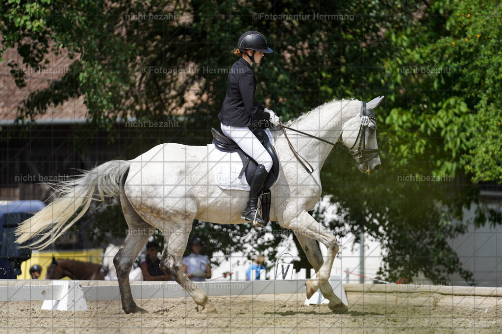 20230826-FAH05385 | Forstinning, 2023, Dressurturnier, Turniersportbilder, Turnierfotografen Bayern, Fotoagentur Herrmann, Reitsportfotografie, Turnierbilder