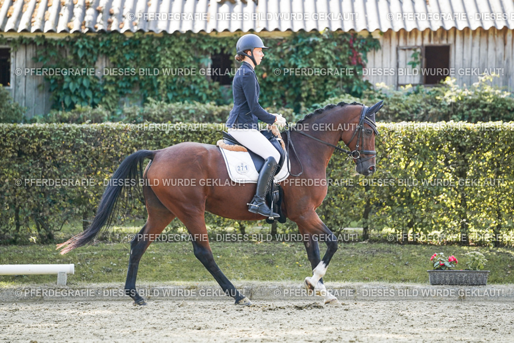 DSC06754 | Pferdegrafie