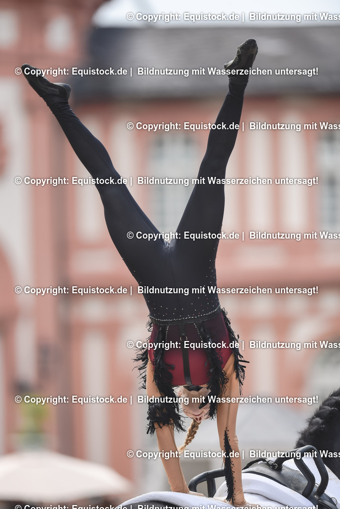 20240519_Voltige_0440 | Foto: Thomas Hartig