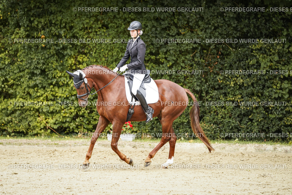 DSC00400 | Pferdegrafie