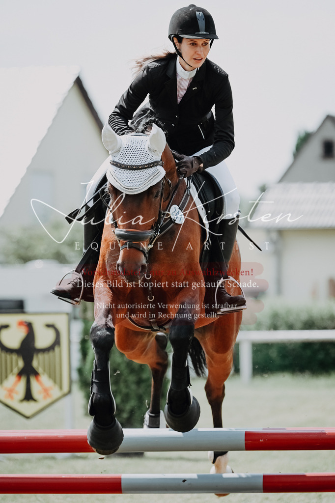 DSC_9378 | Pferde- und Turnierfotografie in Westsachsen. Pferdeportraits, Auftragszeichnungen und intuitive Kunst.