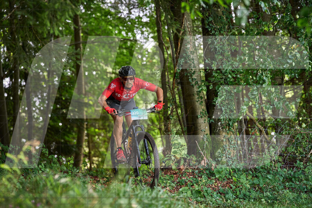 Betriebszentrum Laubenbachmühle, Frankenfels, Österreich - 13. September 2025: Dirndltal Race - Fun und Trophy RaceFotograf: Martin Bihounek / martinbihounek.com | 13. September 2025 Betriebszentrum Laubenbachmühle, Frankenfels, Österreich : Dirndltal Race - Fun und Trophy Race •••••Photo by: Martin Bihounek / martinbihounek.comInsta: @martinbihounekcom