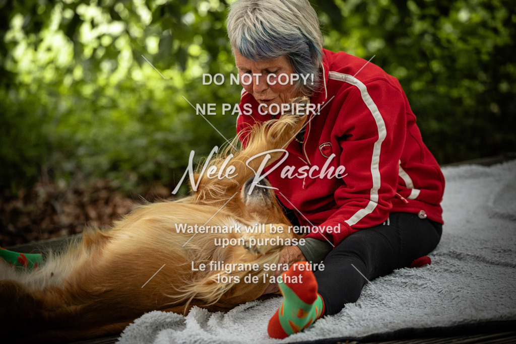nelerasche_SaN_84 | nelerasche