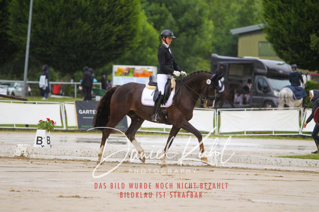 DKP40531 | Turniersportfotografie; Pferdefotografie; Dressurfotografie