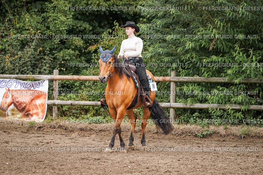 DSC04889 | Pferdegrafie