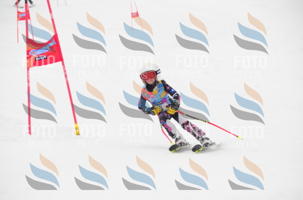 C0532 | holidayphoto