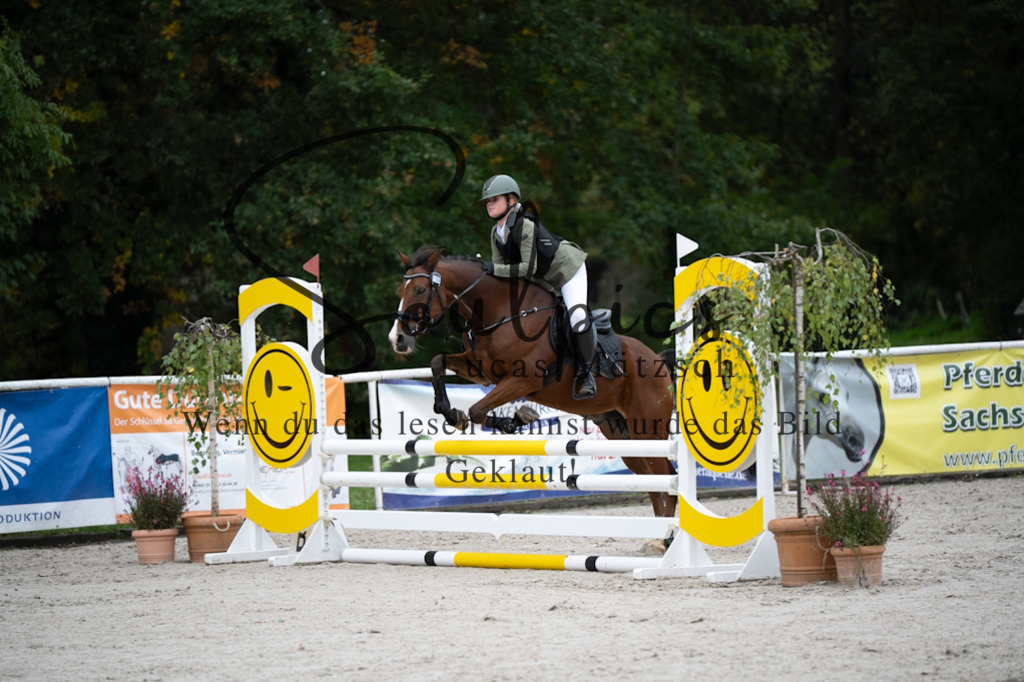 A7V08409 | Pferdefotograf