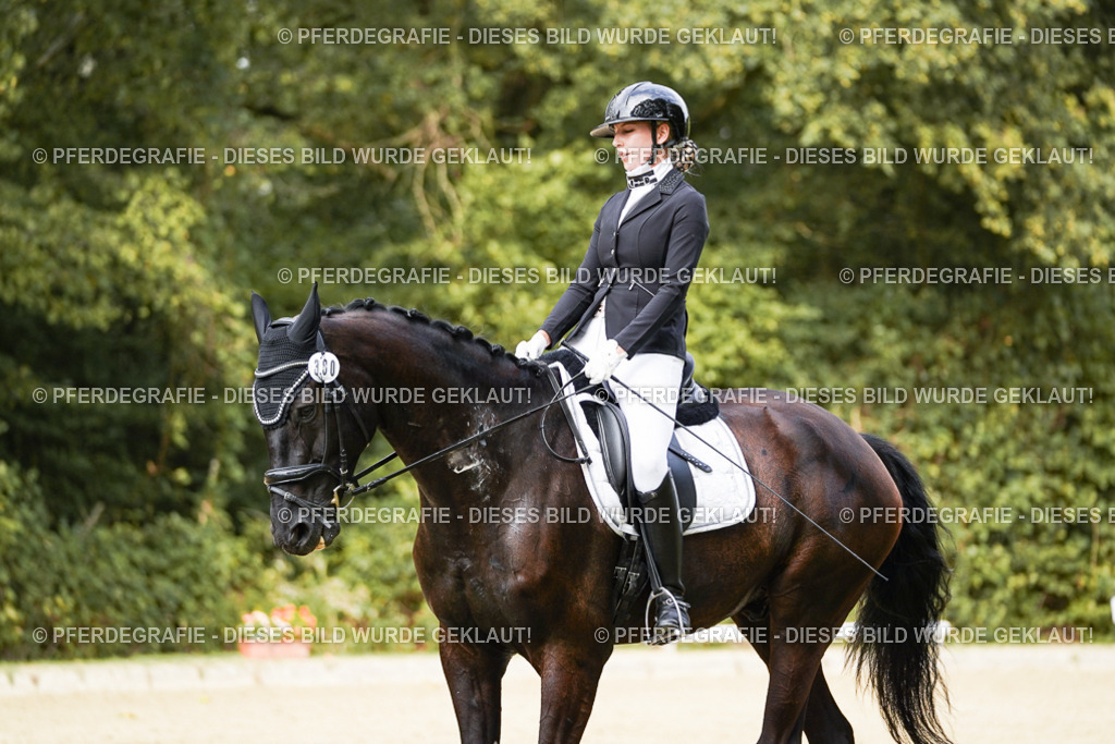 DSC03089 | Pferdegrafie