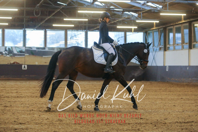 IMG_8175 | Turniersportfotografie; Pferdefotografie; Dressurfotografie