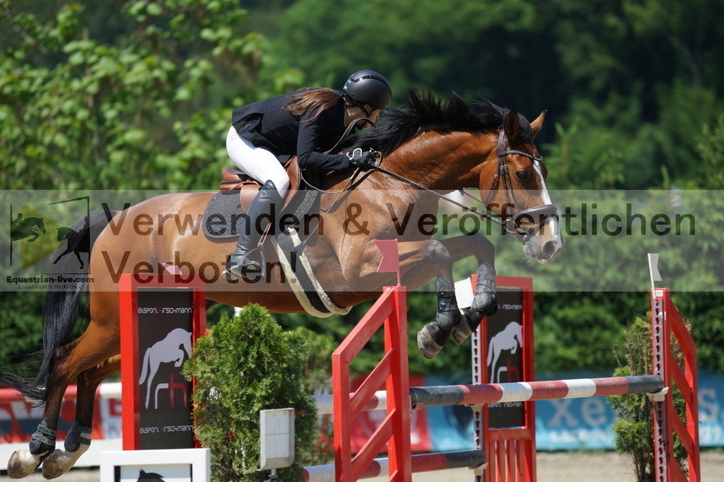 DSC00774 | equestrian-live-com