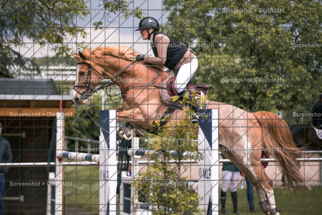 _W6A7655 | ronjaprokoschfotografie - Realisiert mit Pictrs.com