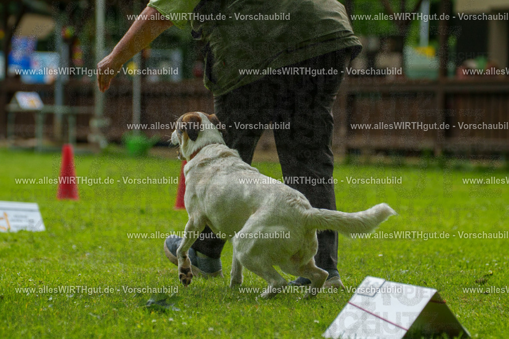 @allesWIRTHgut_Tierfotografie - www.allesWIRTHgut.de - 123141-7R509056 | Professionelle Tierfotografie in Mönchengladbach von Daniel Wirth (allesWIRTHgut). Liebevolle & natürliche Bilder von Hunden & Katzen für unvergessliche Erinnerungen.