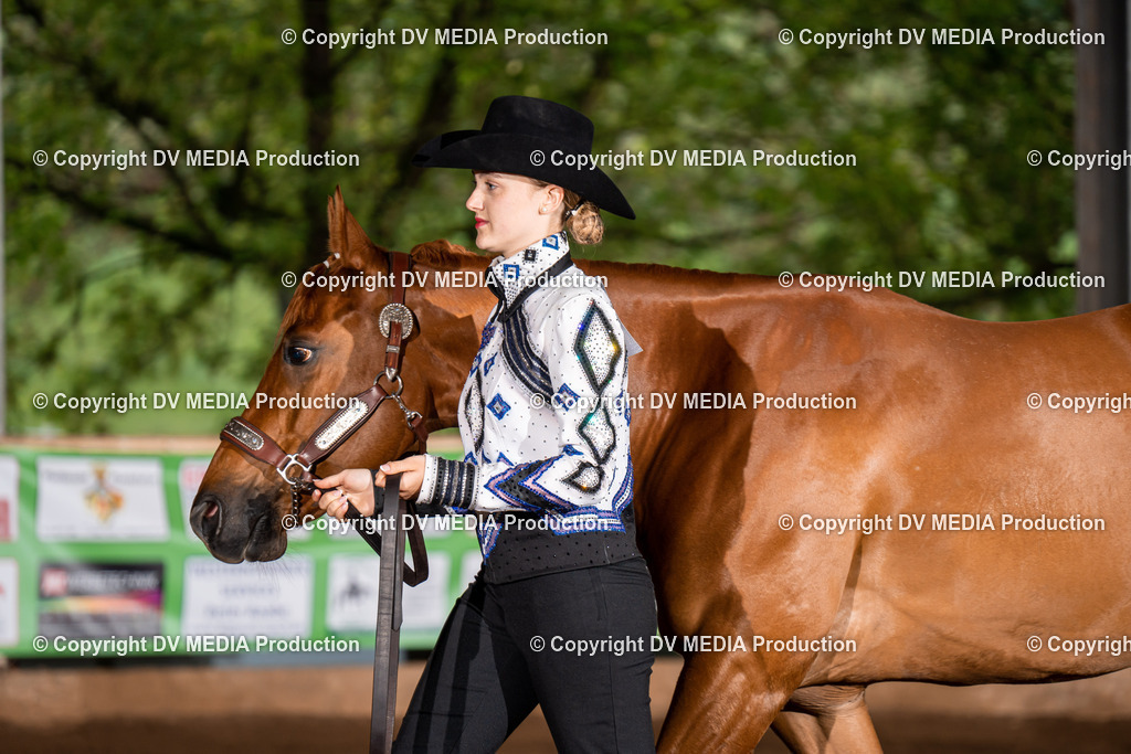 Erbach Tag 2-236 | dv-media-shop - Realisiert mit Pictrs.com