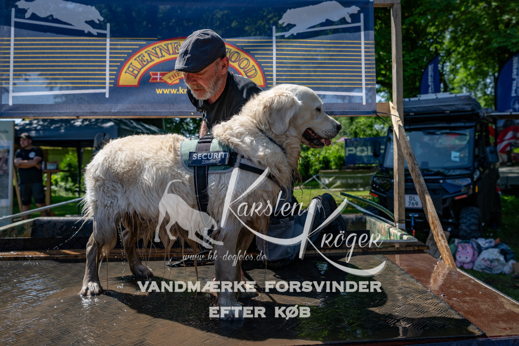 1251_ZZ90234 | kk-dogfotos