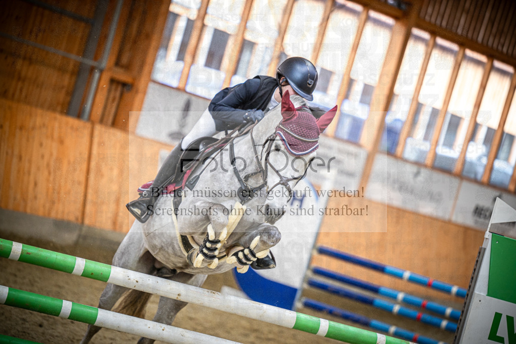 DOS_1099 | Entdecke hochwertige Reitturnierfotos von Foto Oger. Professionell, emotional und authentisch – jetzt Lieblingsmomente im Shop bestellen.Deutschlandweite Turnierfotografie. - Realisiert mit Pictrs.com
