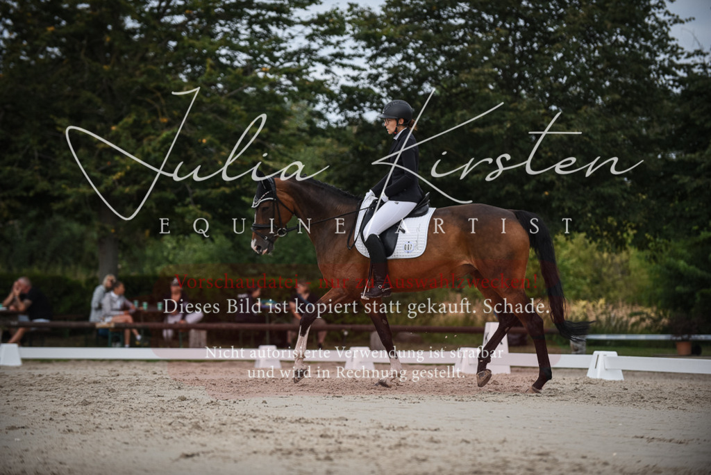 DSC_8539 | Pferde- und Turnierfotografie in Westsachsen. Pferdeportraits, Auftragszeichnungen und intuitive Kunst.