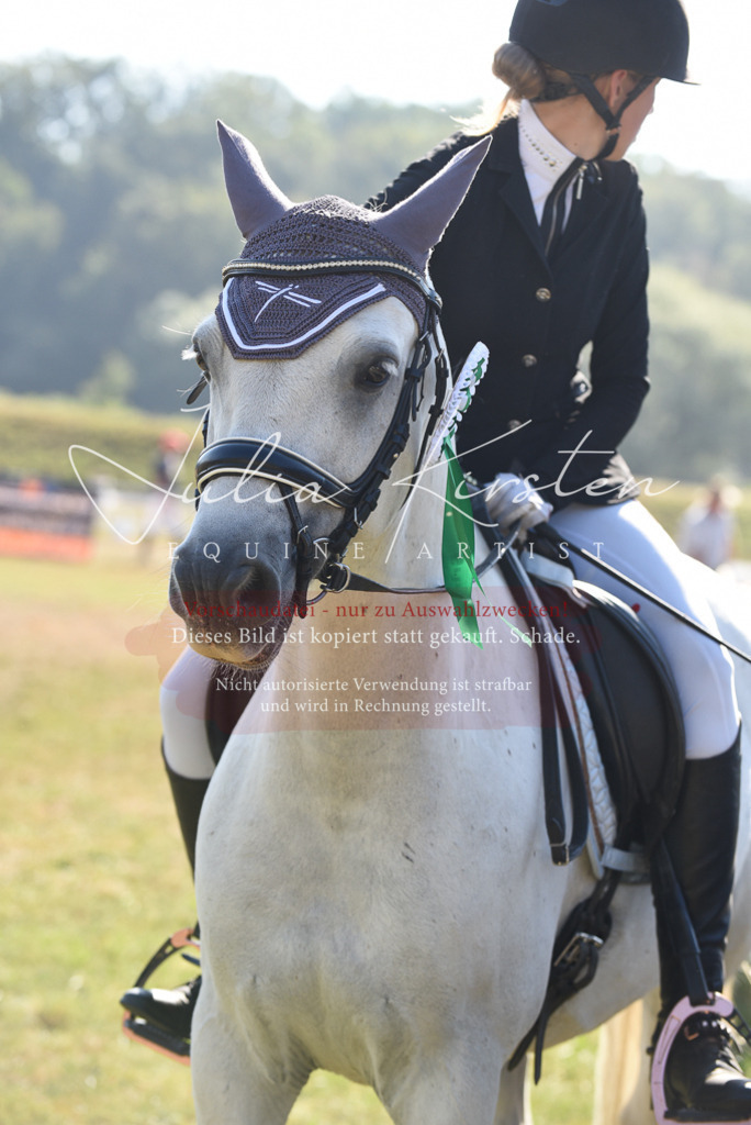 DSC_5492 | Pferde- und Turnierfotografie in Westsachsen. Pferdeportraits, Auftragszeichnungen und intuitive Kunst.