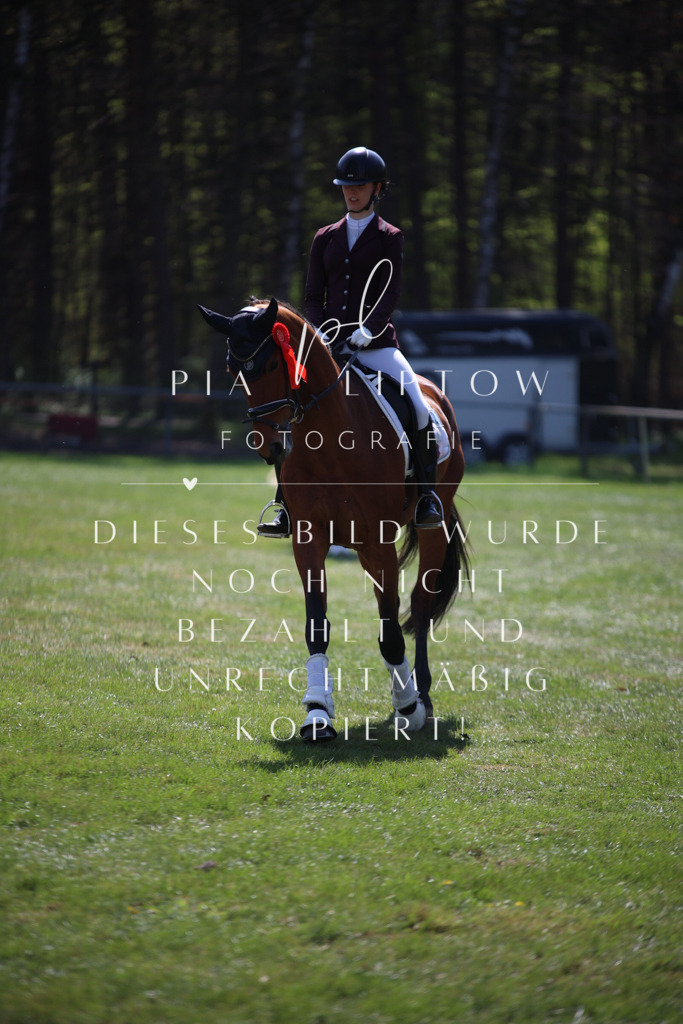 IMGT5571 | pl-fotografie