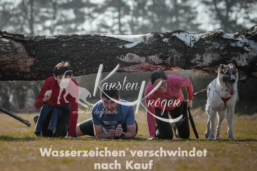 1137_ZZ95424 | kk-dogfotos