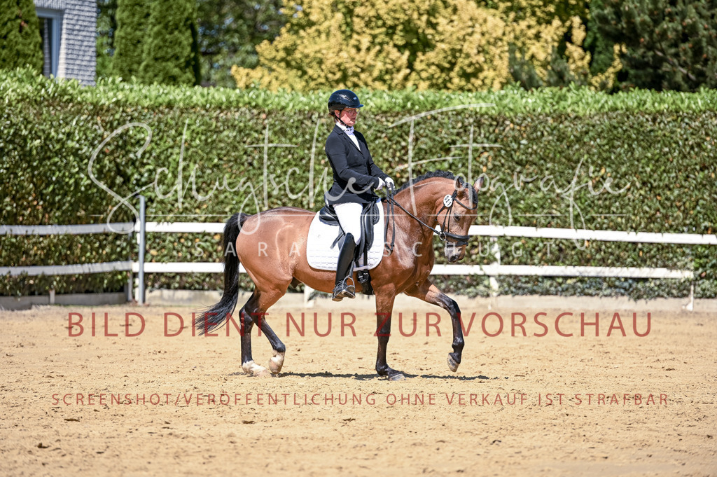 Schugtsche-Aluta25-49.Dressurpferdeprf.A-423 | Schugtsche Fotografie - Realisiert mit Pictrs.com