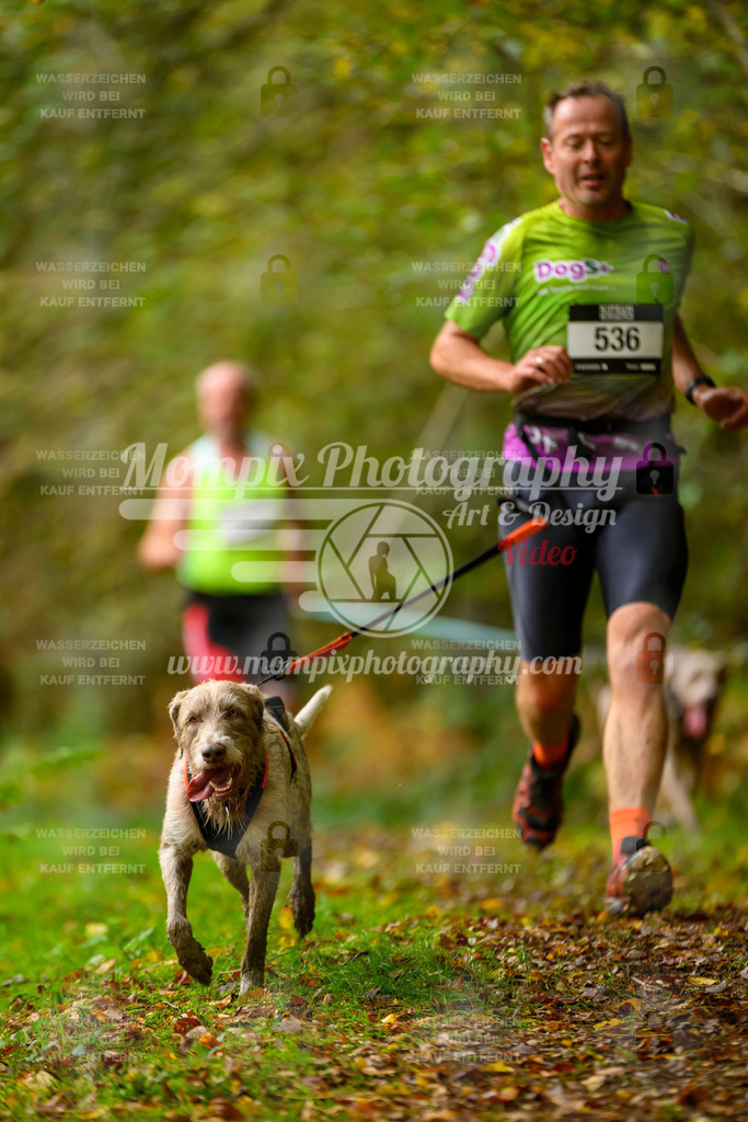 MompixPhotography_20TSB_E1_Run-16 | PayLife