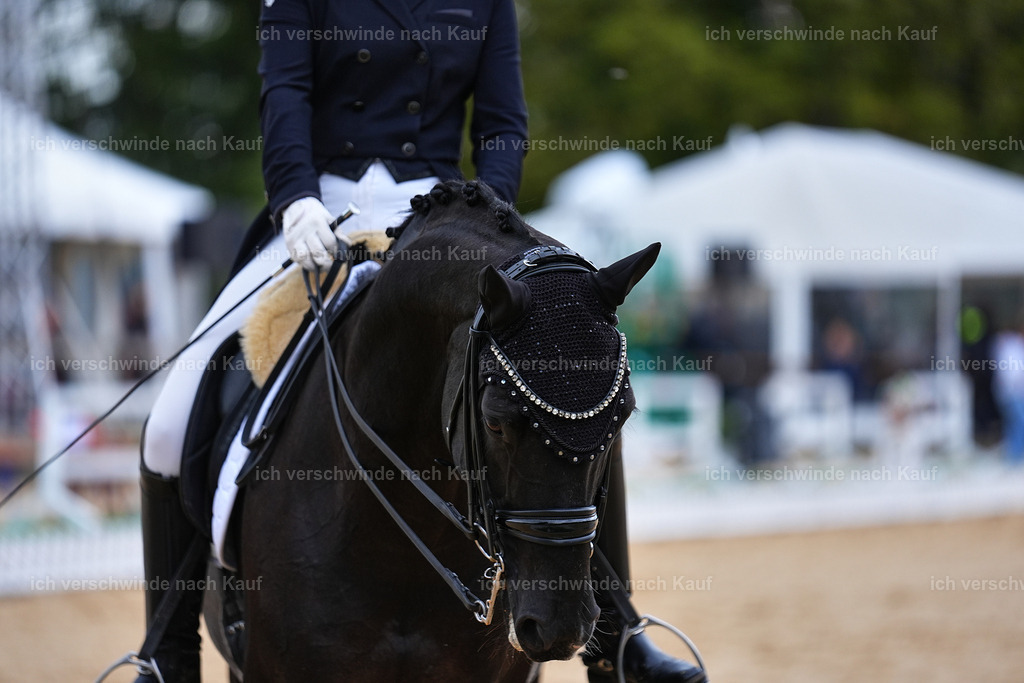 8_1-077-Klasse S_  -Marixx-4065 | working equitationturnier fotograf videograf stoibphotography marixx film working equitation deutschland reitsport turnierfotografie eventfotografie equestrian events