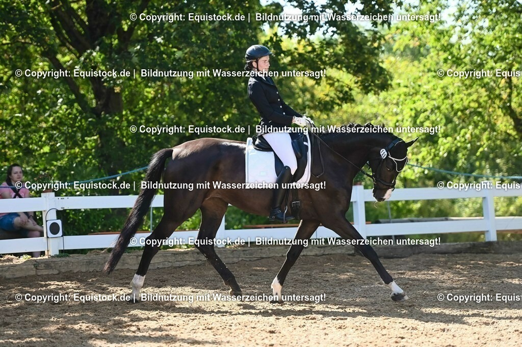 20230715_06_Dressurpferdeprfg. Kl.A_0362 | equistock