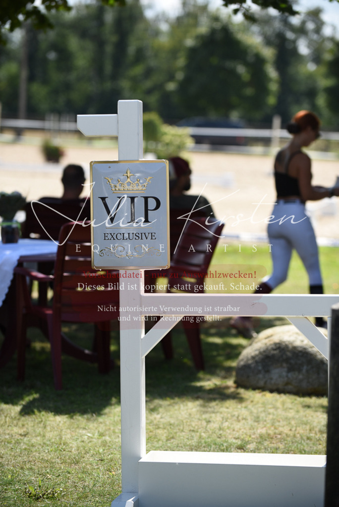 DSC_8891 | Pferde- und Turnierfotografie in Westsachsen. Pferdeportraits, Auftragszeichnungen und intuitive Kunst.