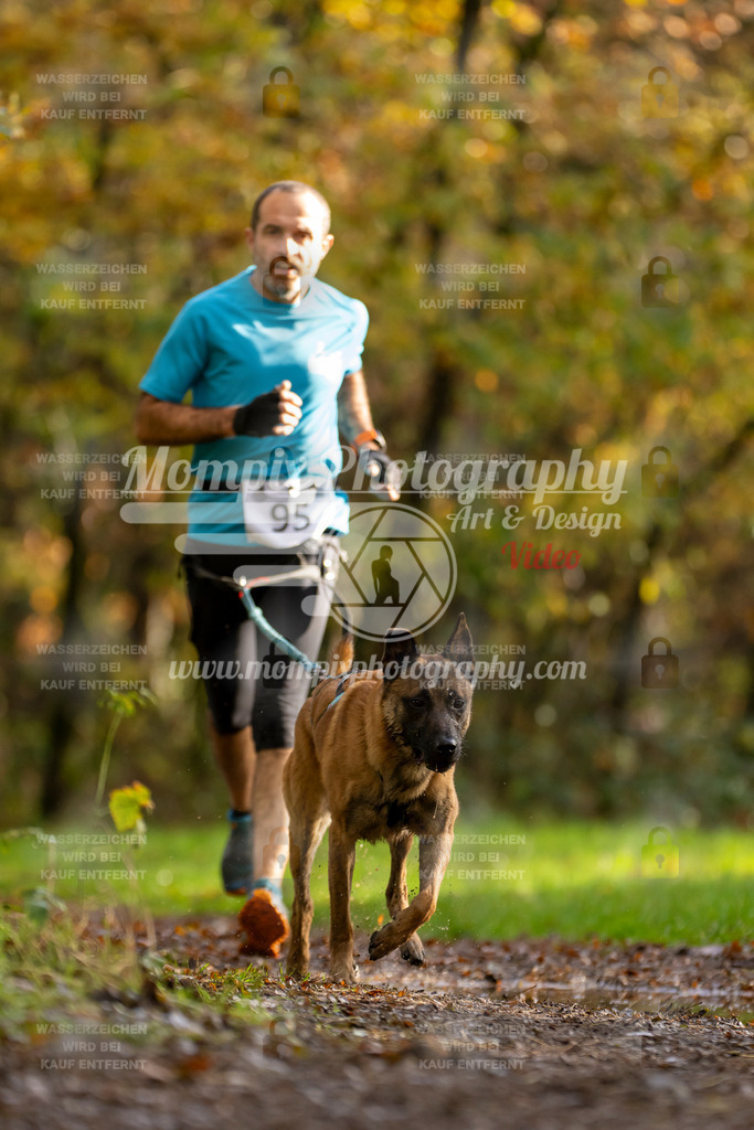 MompixPhotography_Bischwiller23_Canicross-37 | PayLife