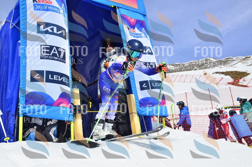 _ELE1898 | holidayphoto