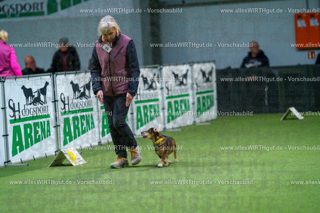 7R505875 | Professionelle Tierfotografie in Mönchengladbach von Daniel Wirth (allesWIRTHgut). Liebevolle & natürliche Bilder von Hunden & Katzen für unvergessliche Erinnerungen.