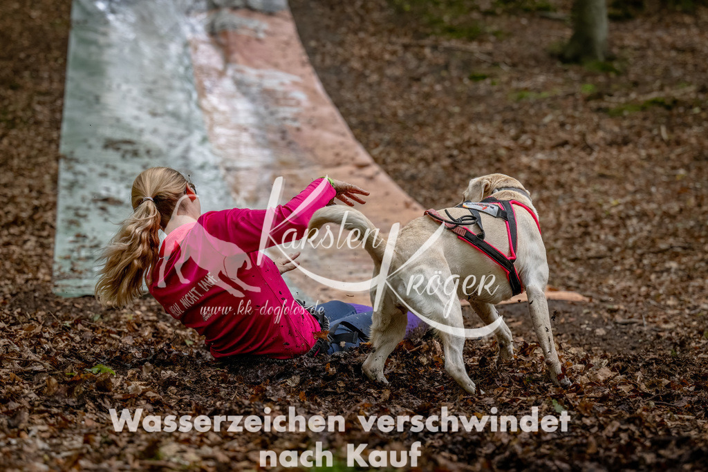 1125_ZZ90591-Bearbeitet | kk-dogfotos