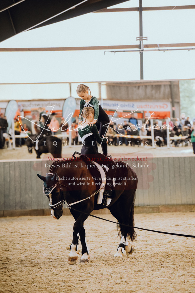 DSC_6893 | Pferde- und Turnierfotografie in Westsachsen. Pferdeportraits, Auftragszeichnungen und intuitive Kunst.