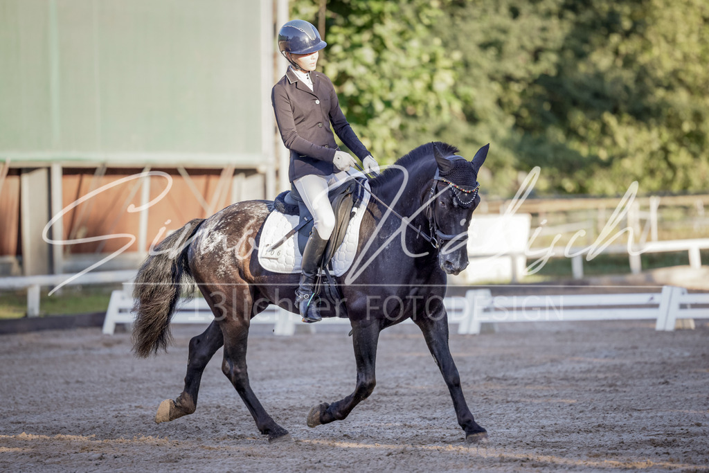 20250906-_3LI2784 | Tierfotografie Pferde, Hunde, Katzen, Haustiere.
Turnierfotografie Reitturniere, Reiten, Springreiten, Dressur in Hanau, dem Main-Kinzig-Kreis und dem Rhein-Main- Gebiet um Frankfurt