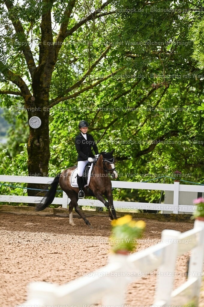 20230716_10-1_Reiter-WB Schritt - Trab - Galopp_0192 | equistock