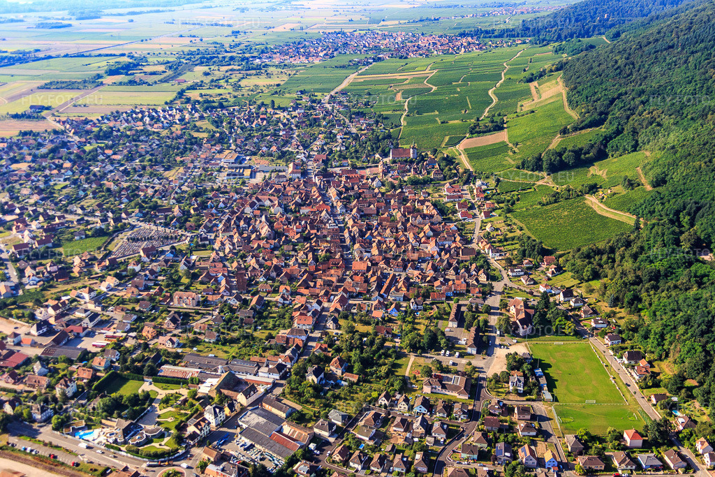 Vue aérienne: Village viticole situé au pied des pentes nord des Vosges à Châtenois dans le département Bas Rhin, France.Photo: IMG_093283.jpg prise le 16/08/2016 par Werner Riehm/FLY-FOTO.euRésolution de l'original: 5472 x 3648 px