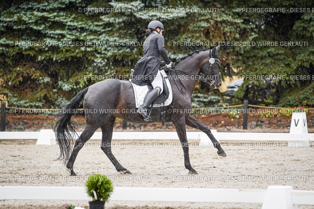 DSC08468 | Pferdegrafie