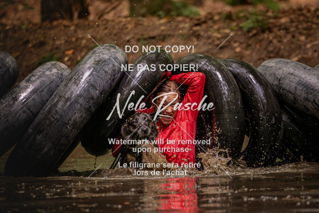 nelerasche_SaWingst1030-1130_214 | nelerasche