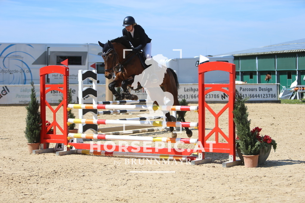 DL2Q0248 | Willkommen bei Brunnmayr - Design & Fotografie – Ihrem Spezialisten für Reitturniere und Pferdeveranstaltungen in Oberösterreich, Salzburg und Bayern! Seit über 17 Jahren sind wir leidenschaftlich dabei.