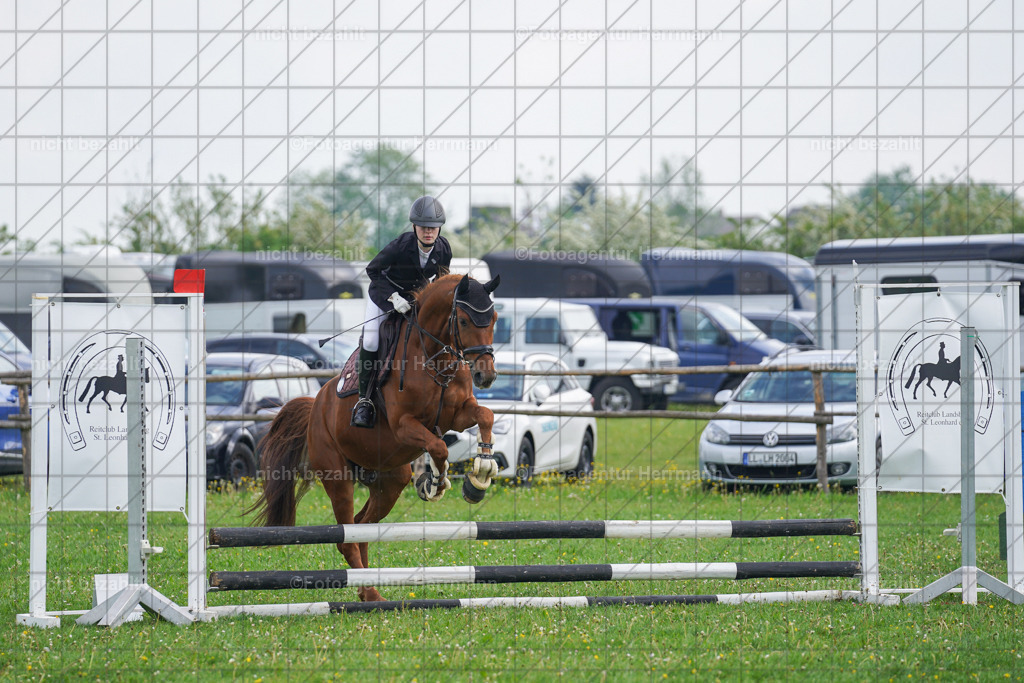 20240509-FAH02183 | Turnierbilder der Turnierfotografen Bayern, Pferdesport Fotografie, Reitsportbilder, Turnier Landberg am Lech, Turnierbilder bayern, Fotoagentur Herrmann