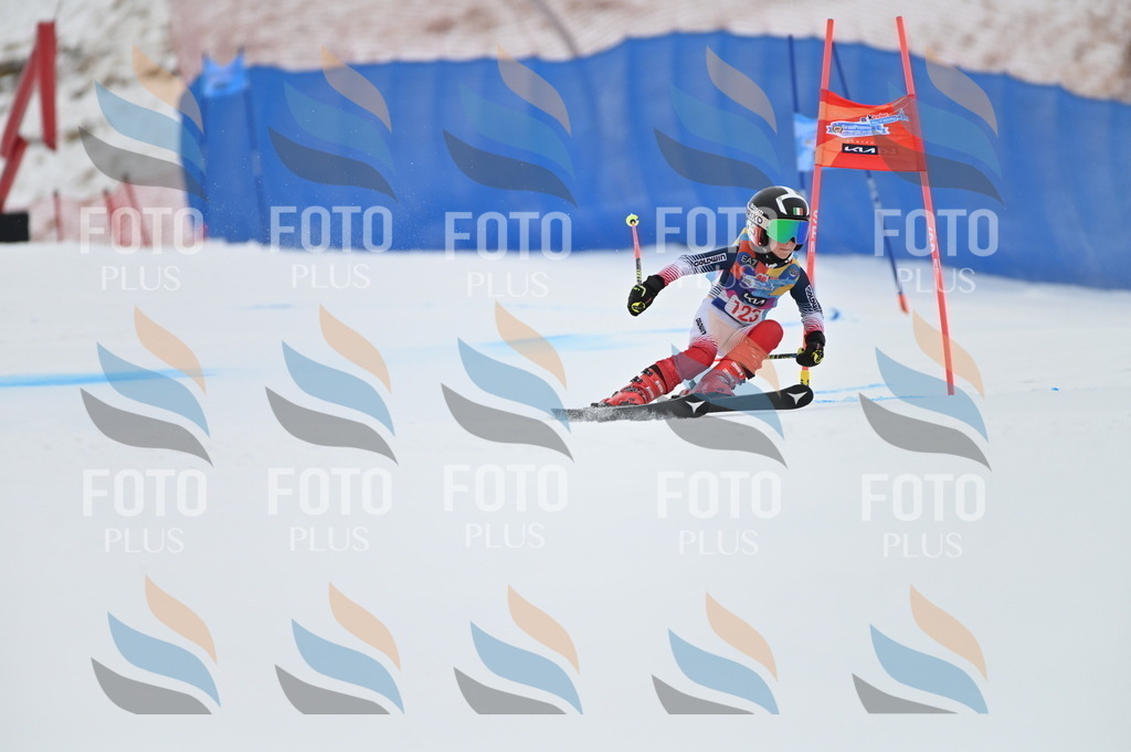 BGV_9986 | holidayphoto