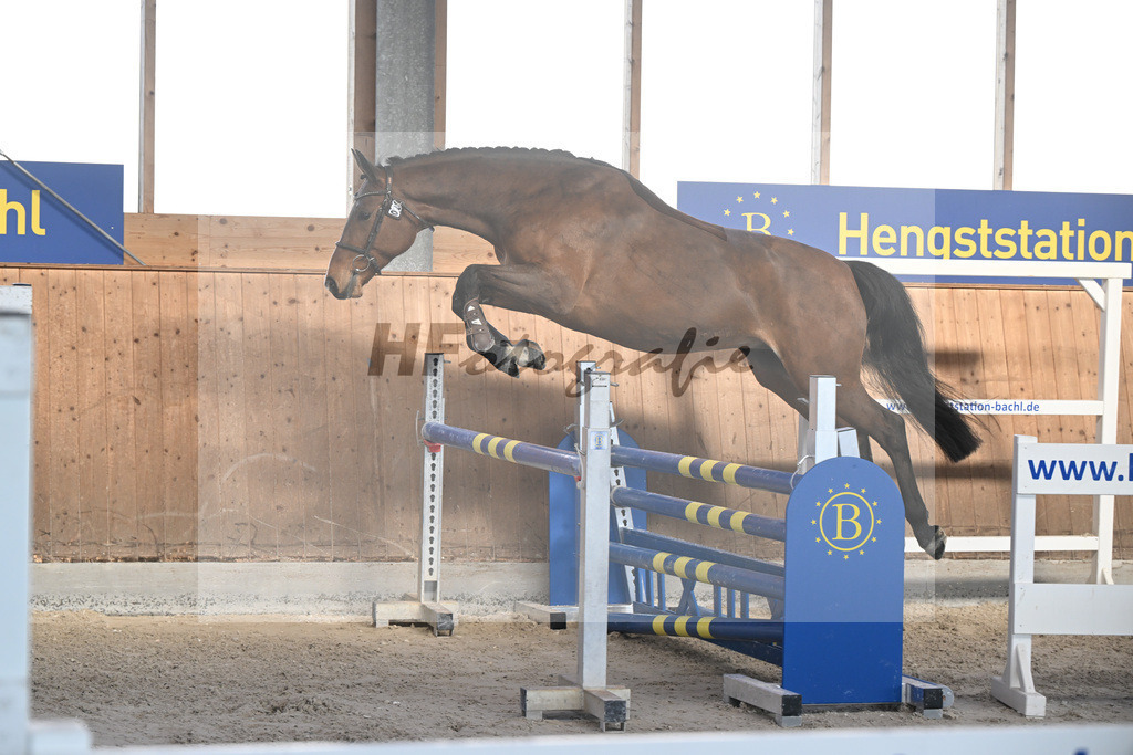 Kat-Nr. 28 Vintl B v. Vigaro_Rau_14262022 | hf-fotografie - Realizzato con Pictrs.com